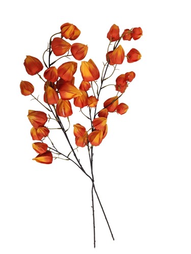 Lanterna cinese arancione